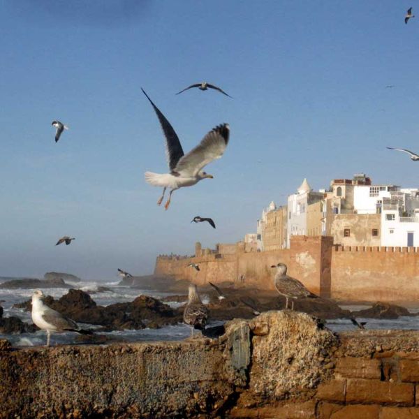 port-essaouira